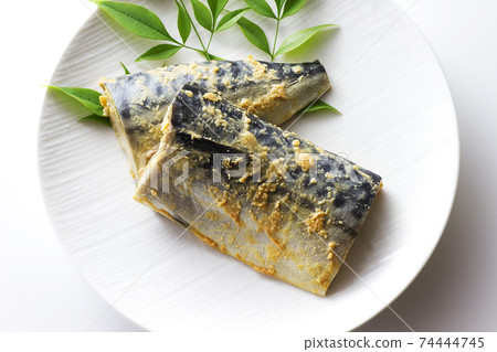 鯖魚在味o 9中醃製 74444745