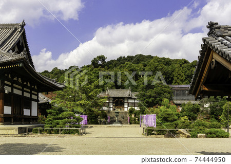 Eifukuji Temple Nitenmon, Taishi-cho, Minamikawachi-gun, Osaka Prefecture 74444950