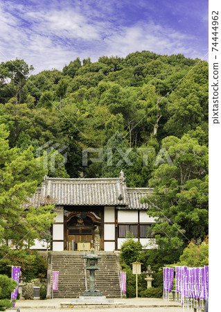Eifukuji Temple Nitenmon, Taishi-cho, Minamikawachi-gun, Osaka Prefecture Eifukuji Temple Nitenmon, Taishi-cho, Minamikawachi-gun, Osaka Prefecture 74444962