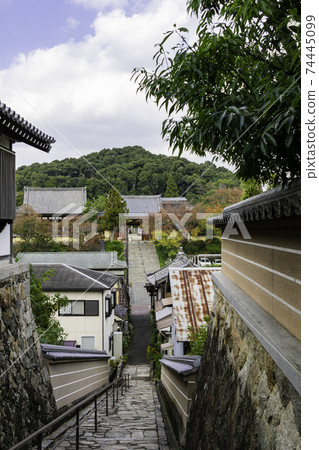Eifukuji Temple Overlooking Eifukuji Temple from Saihoin, Taishi-cho, Minamikawachi-gun, Osaka Prefecture Eifukuji Temple Overlooking Eifukuji Temple from Saihoin, Taishi-cho, Minamikawachi-gun, Osaka Prefecture 74445099