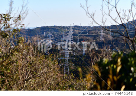 Transmission lines and towers for power transmission that can be seen between vegetation Transmission lines and towers for power transmission that can be seen between vegetation 74445148