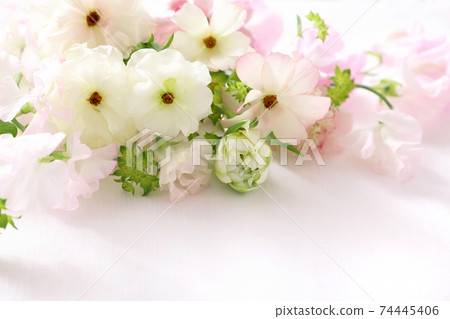 毛an花束春天花束 毛an花束春天花束 74445406