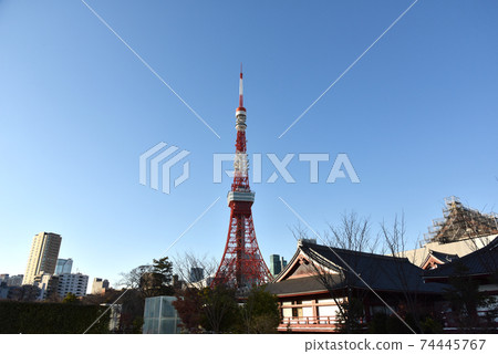 東京鐵塔2021年冬季 東京鐵塔2021年冬季 74445767