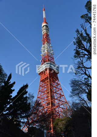 東京鐵塔2021年冬季 74445768