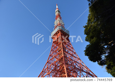 東京鐵塔2021年冬季 東京鐵塔2021年冬季 74445769