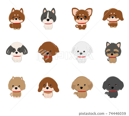 坐著12個犬種 74446039