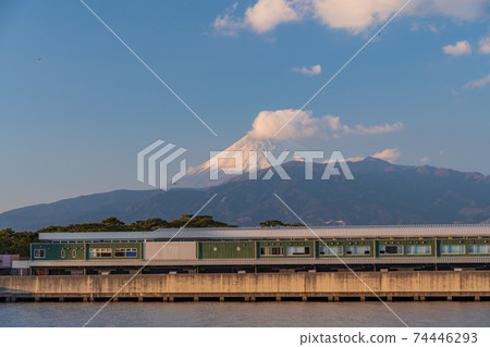 (Shizuoka Prefecture) Numazu fish market, byuo, Mt. Fuji evening view from my entrance 74446293