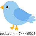 blue bird	 74446508