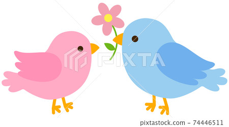 Blue bird and pink bird with flowers Blue bird and pink bird with flowers 74446511