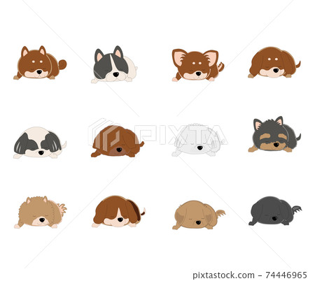 12 dog breeds, naps 74446965