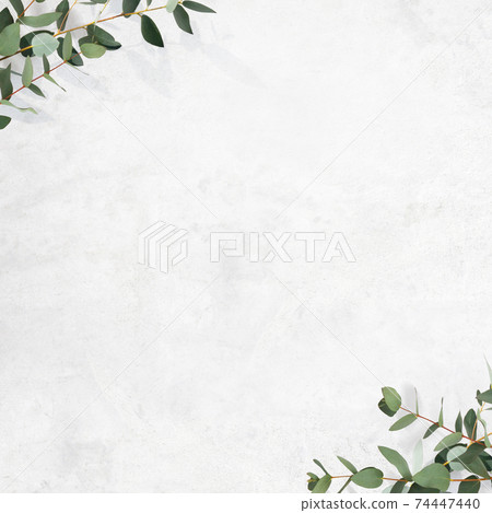 Refreshing image background composed of white walls and eucalyptus leaves-there are multiple variations 74447440