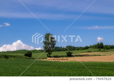 Landscape with wheat straw roll 74447620