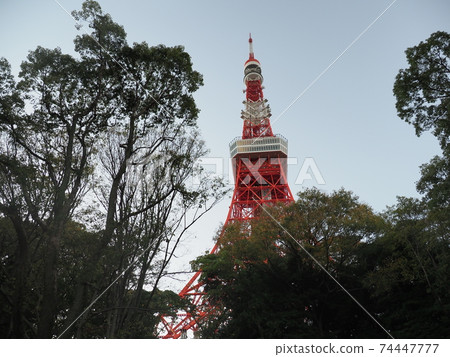 Tokyo Tower November 2020 74447777