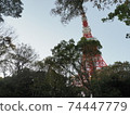 Tokyo Tower November 2020 74447779