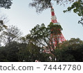 Tokyo Tower November 2020 74447780