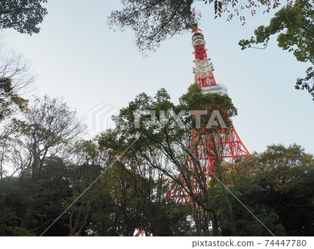 Tokyo Tower November 2020 74447780