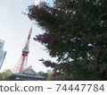 Tokyo Tower November 2020 74447784