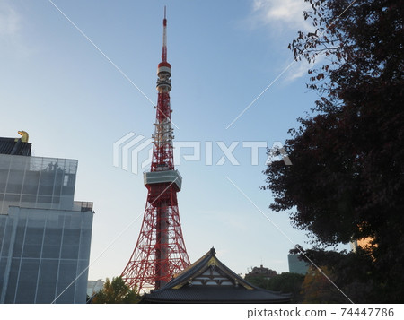 Tokyo Tower November 2020 74447786