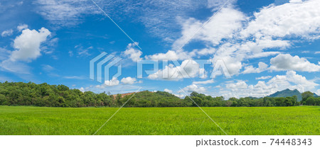 Panorama landscape view of green grass field agent blue sky Panorama landscape view of green grass field agent blue sky 74448343