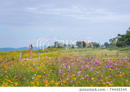 Beautiful woman in nature flower. Beautiful woman in nature flower. 74448344