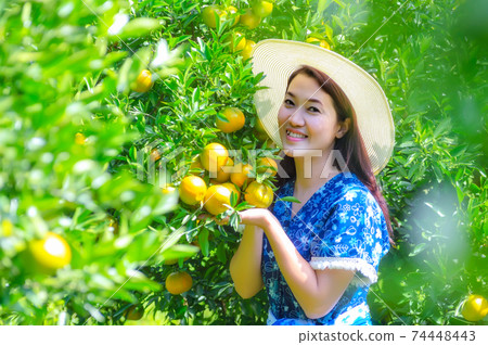 organic orange garden organic orange garden 74448443