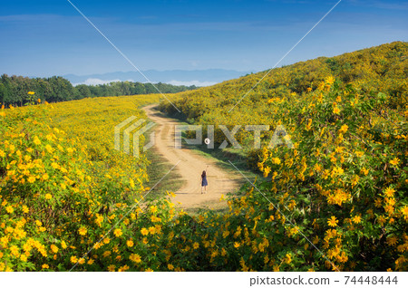 Beautiful woman in nature flower. Beautiful woman in nature flower. 74448444
