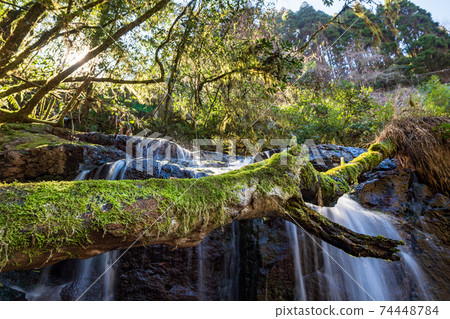 Scenery of a waterfall flowing down the clear stream Kikuchi Gorge in winter Scenery of a waterfall flowing down the clear stream Kikuchi Gorge in winter 74448784