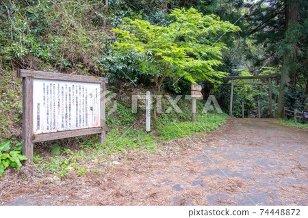 鮮綠色Imadaki徒步旅行的形象 鮮綠色Imadaki徒步旅行的形象 74448872