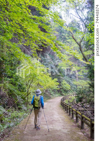 鮮綠色Imadaki徒步旅行的形象 鮮綠色Imadaki徒步旅行的形象 74448874