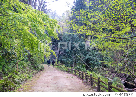 鮮綠色Imadaki徒步旅行的形象 鮮綠色Imadaki徒步旅行的形象 74448877