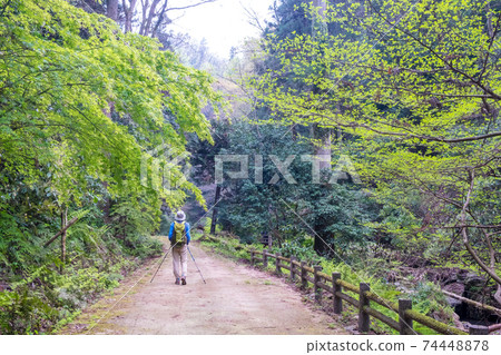 鮮綠色Imadaki徒步旅行的形象 鮮綠色Imadaki徒步旅行的形象 74448878
