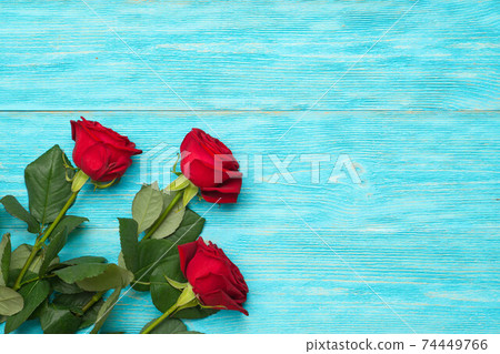 red and white roses over blue wood planks red and white roses over blue wood planks 74449766