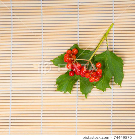 viburnum berries on bamboo table 74449870