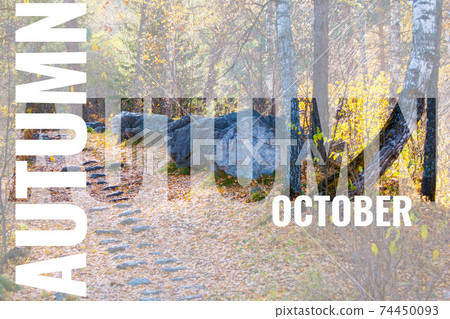 autumn october postcard with stone steps in public park backgrou 74450093