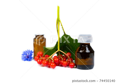 rowan berries spa sauna essential oil, isolated on white backgro 74450140