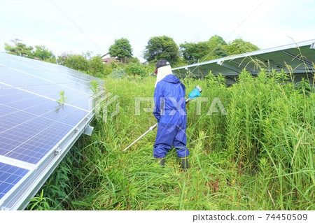 男子割草高級銀 74450509