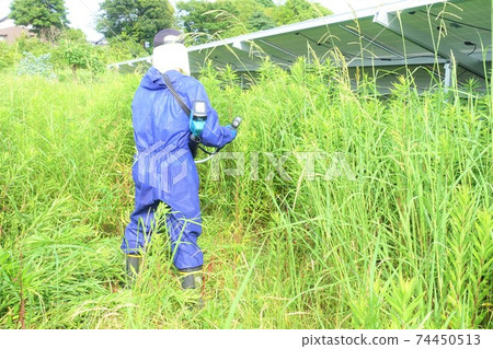 Men mowing grass Senior Silver 74450513