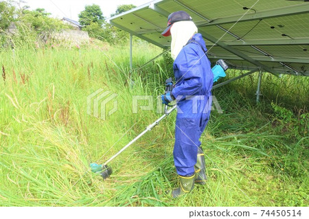 Men mowing grass Senior Silver Men mowing grass Senior Silver 74450514