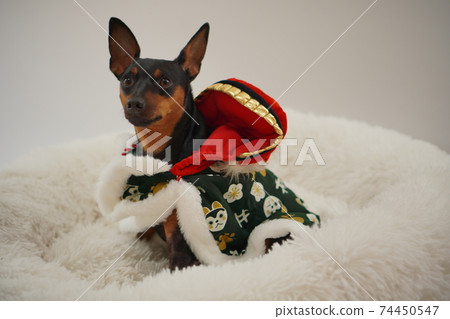 微型平獅舞獅照片15 74450547