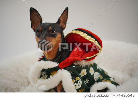 迷你杜賓舞獅照片16 74450548