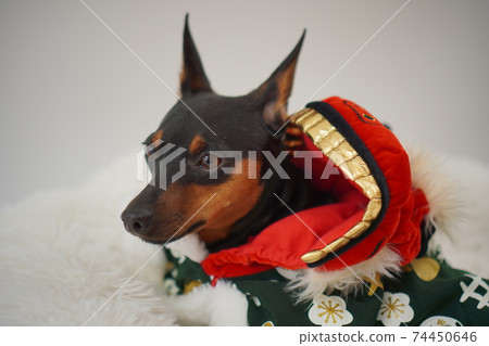 微型平獅舞獅照片56 74450646