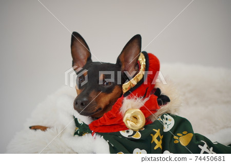 微型平獅舞獅照片77 74450681