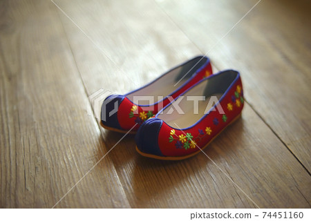 韓國傳統花神 韓國傳統花神 74451160