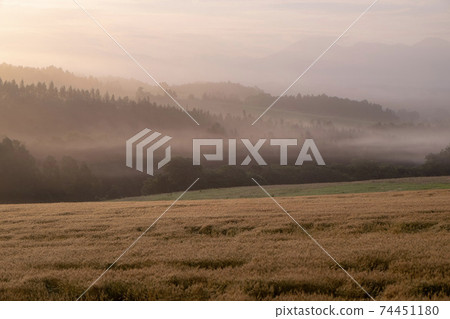 Scenery of Biei hill where the morning mist and the morning sun shine Scenery of Biei hill where the morning mist and the morning sun shine 74451180