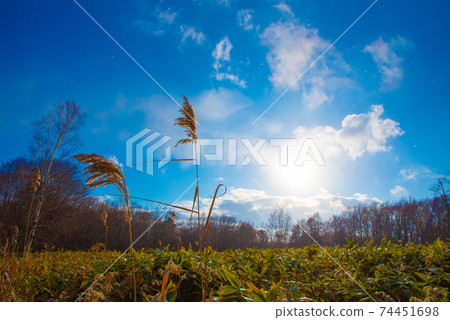 Susumu and sun Susumu and sun 74451698