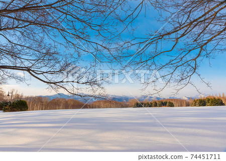 winter park winter park 74451711