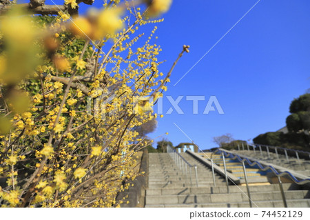 Katsushika Ward Kosuge West Park, Katsushika Ward, Tokyo Kosuge Katsushika Ward Kosuge West Park, Katsushika Ward, Tokyo Kosuge 74452129