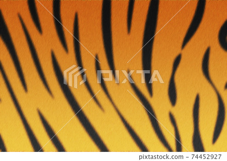 Tiger skin design 74452927