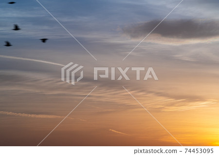 Clouds and gradation colors floating in the west sky before nightfall a-1 A flock of birds 74453095