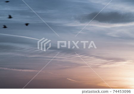 Clouds and gradation colors floating in the west sky before nightfall a-2 Bird flock Light tone 74453096